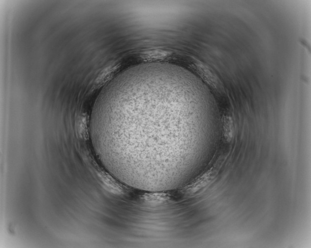 X0000098020378200804111304