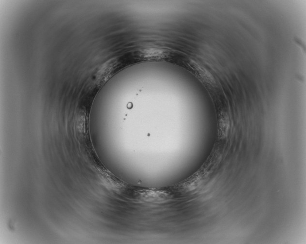 X0000098020379200804111304