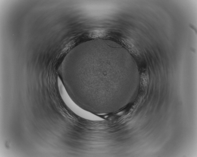 X0000098020380200804111304