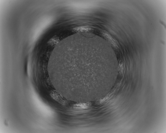 X0000098020381200804111304