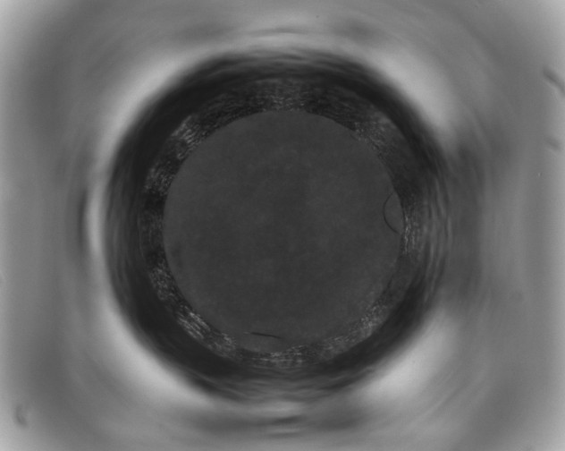 X0000098020383200804111304