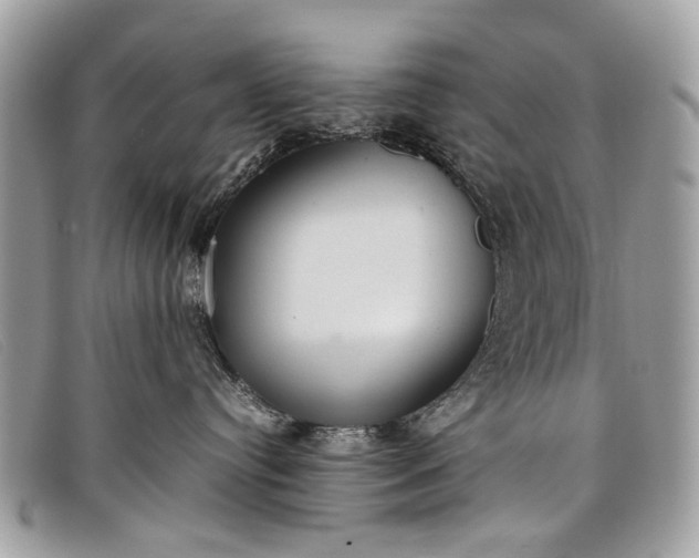 X0000098020384200804111304