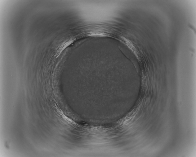 X0000098020385200804111303