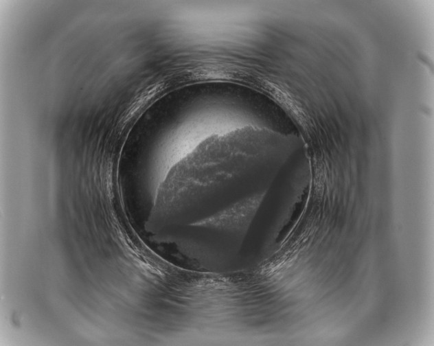 X0000098020386200804111303