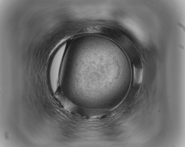 X0000098020387200804111303