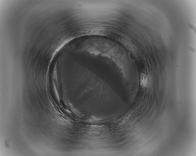 X0000098020388200804111303