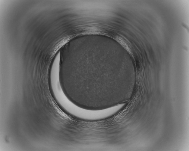 X0000098020389200804111303