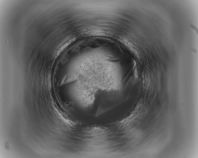 X0000098020390200804111303