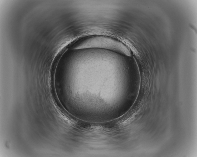 X0000098020391200804111303