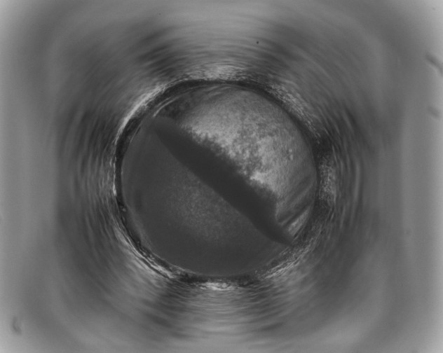 X0000098020392200804111303