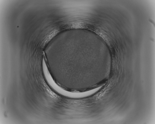 X0000098020393200804111303