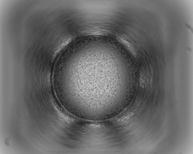 X0000098020394200804111303