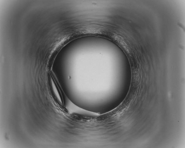 X0000098020395200804111303