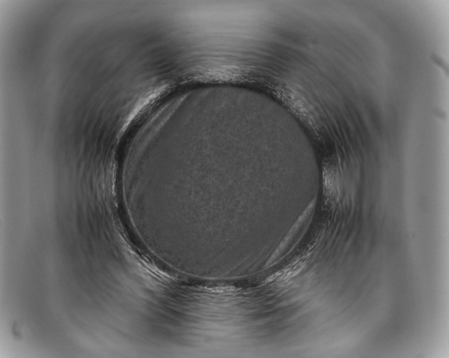 X0000098020396200804111303