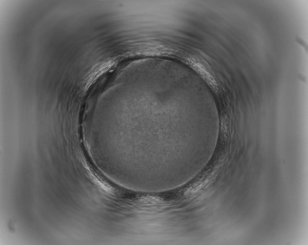 X0000098020397200804111303