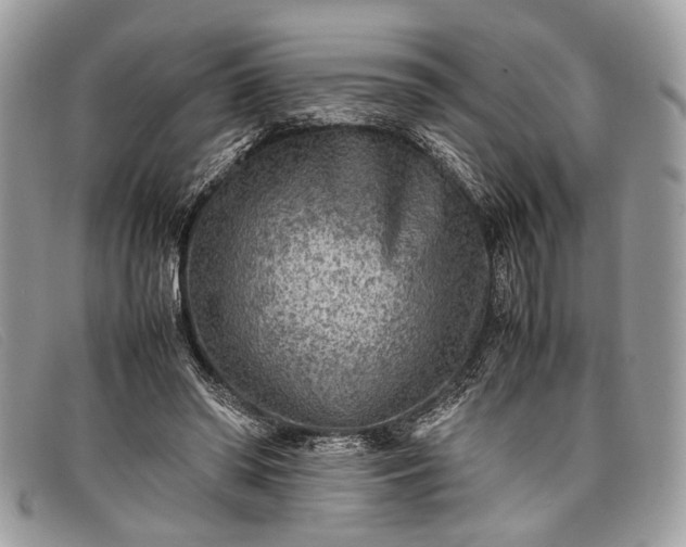 X0000098020398200804111303