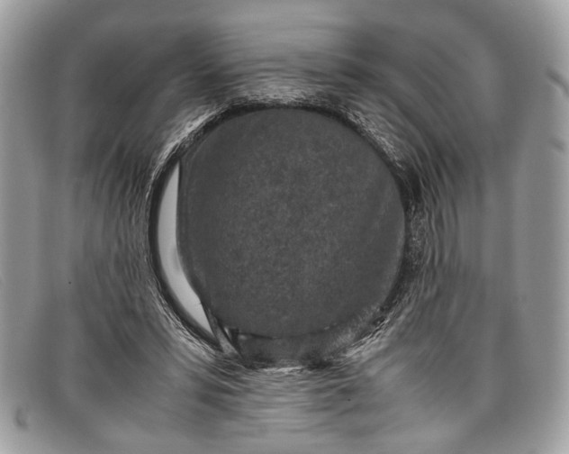 X0000098020399200804111303