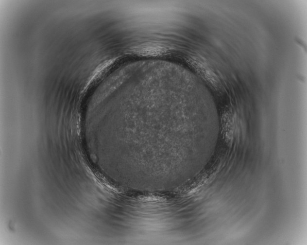 X0000098020400200804111303