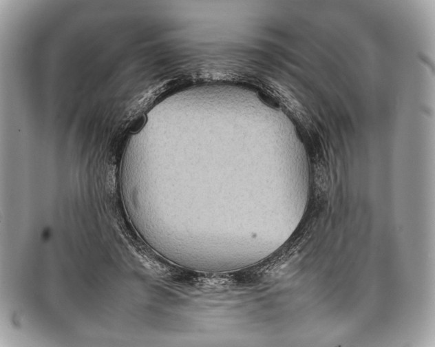 X0000098020401200804111303