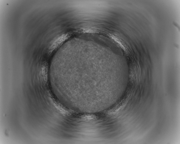 X0000098020402200804111303