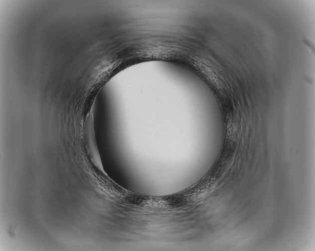 X0000098020403200804111303