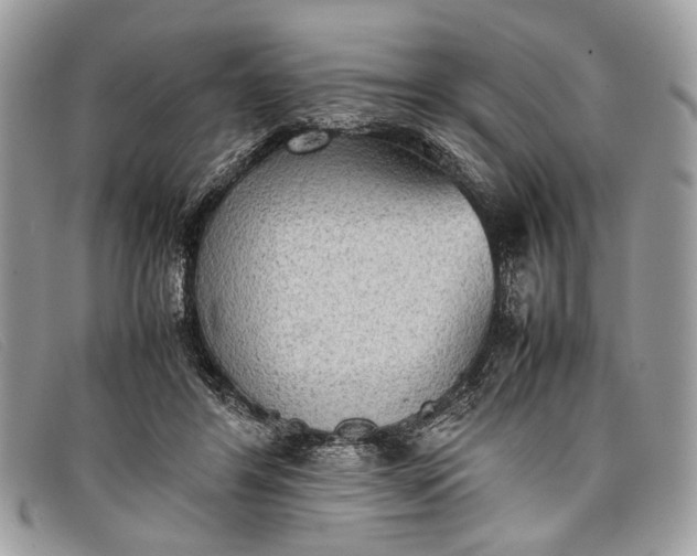 X0000098020404200804111303