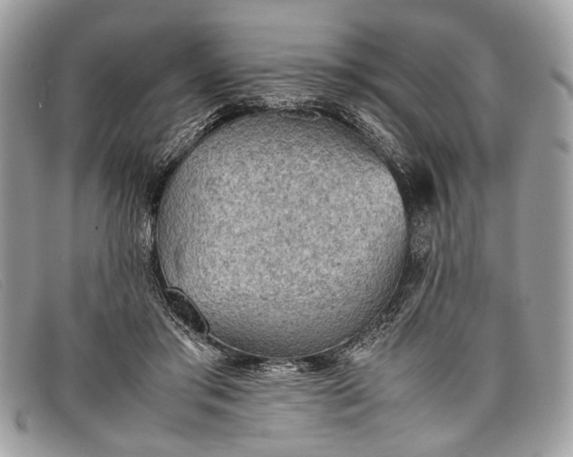 X0000098020405200804111303