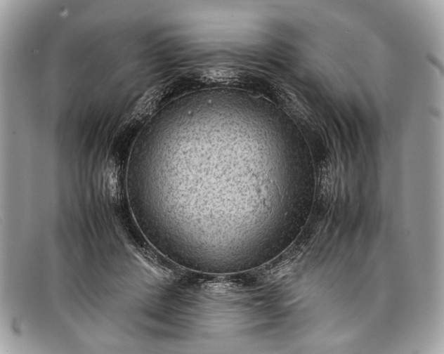 X0000098020408200804111303