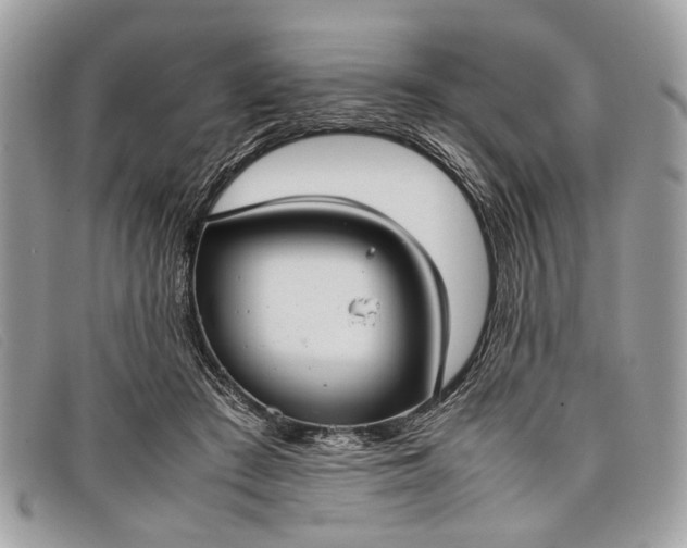 X0000098020409200804111303