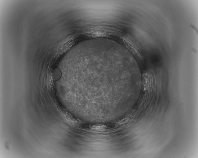 X0000098020410200804111303