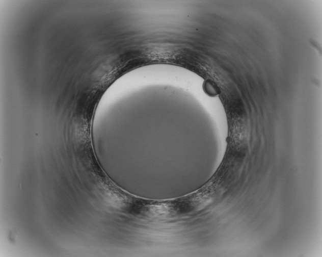 X0000098020411200804111303