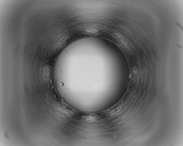 X0000098020412200804111303