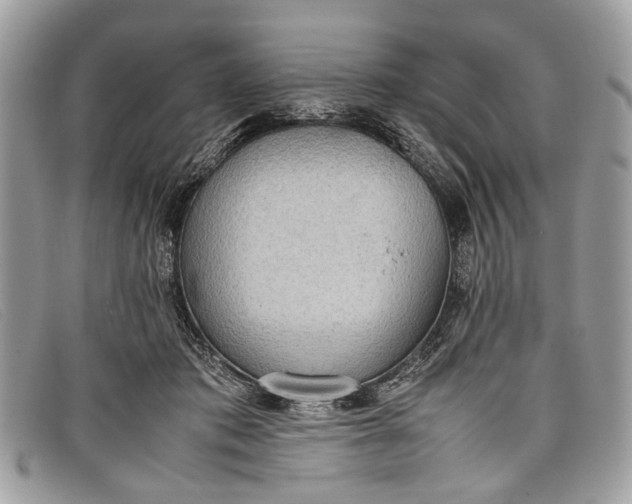 X0000098020413200804111303