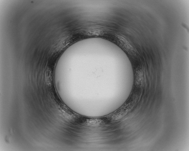 X0000098020414200804111303