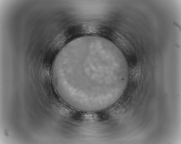 X0000098020415200804111303