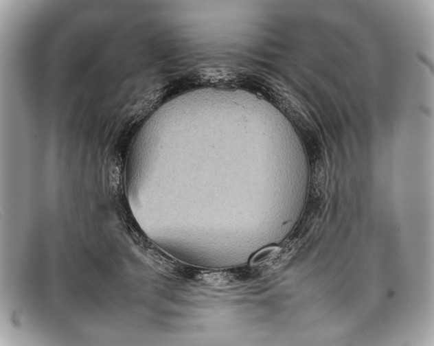 X0000098020417200804111303