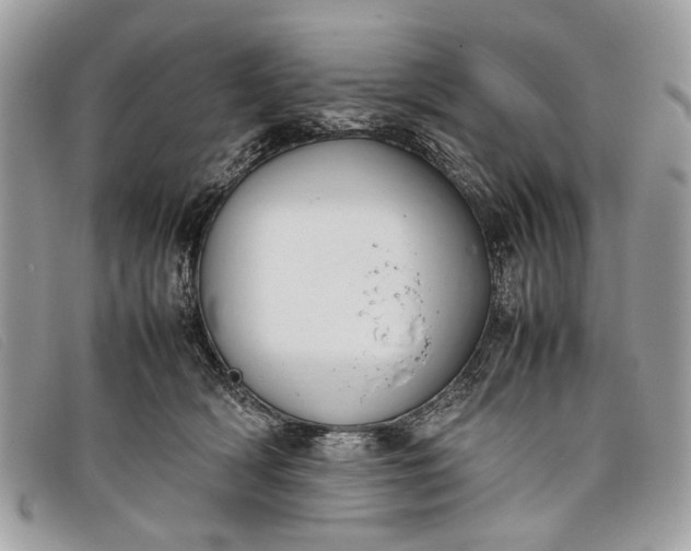 X0000098020418200804111302