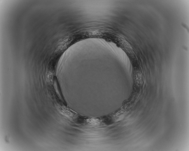 X0000098020419200804111302