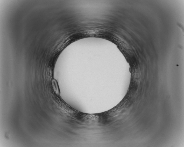 X0000098020421200804111302