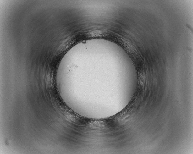 X0000098020422200804111302