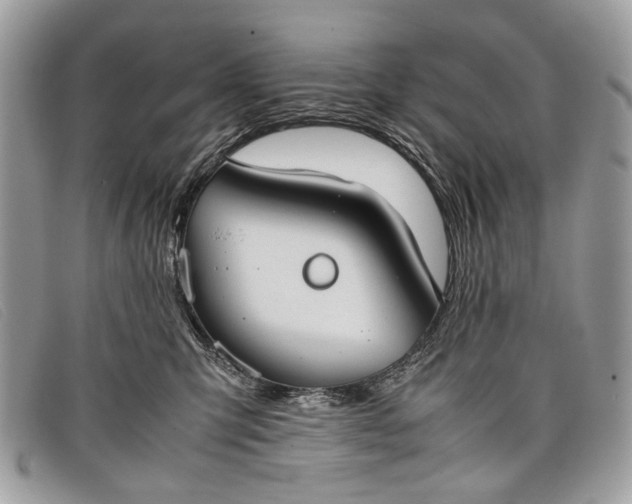 X0000098020423200804111302