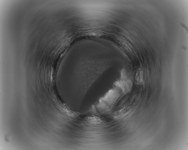 X0000098020424200804111302