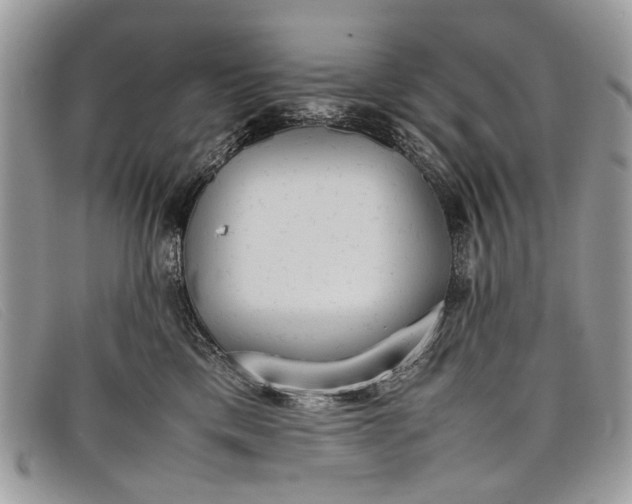 X0000098020425200804111302