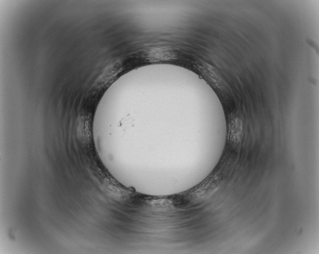 X0000098020426200804111302