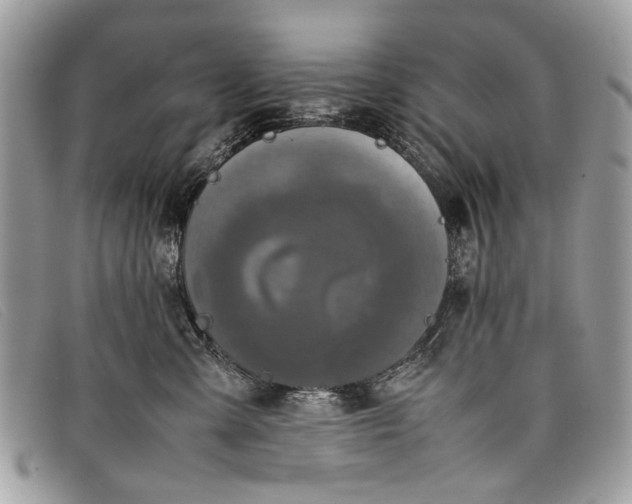 X0000098020427200804111302