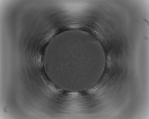 X0000098020428200804111302