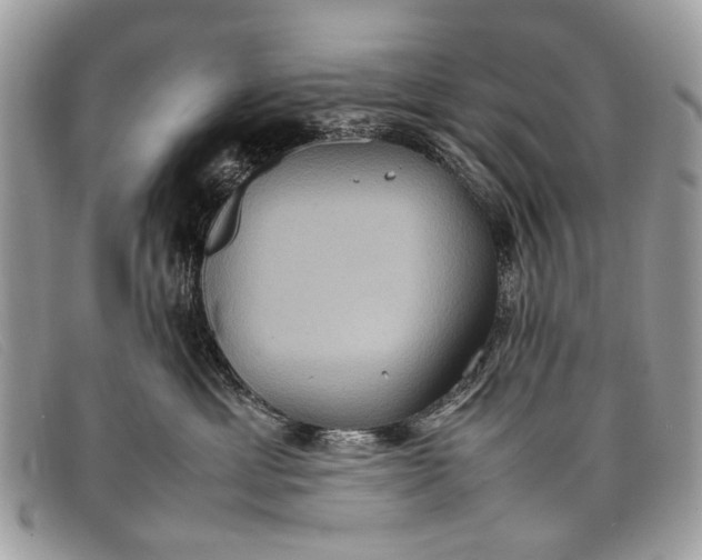 X0000098020429200804111302