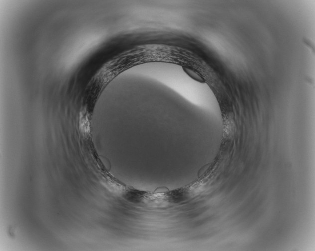 X0000098020431200804111302