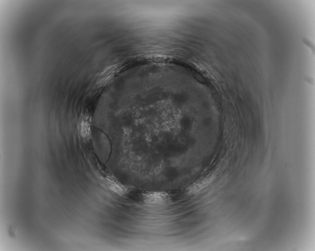 X0000098020432200804111302