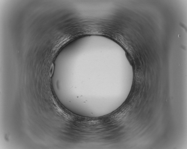 X0000098020433200804111302